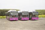 Temsa Avenue LF CNG 2014 года